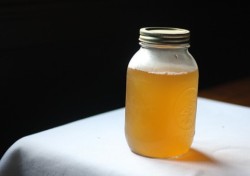 Kombucha 101