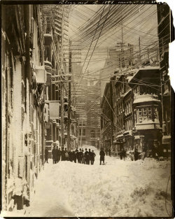agelessphotography: Blizzard of 1888, Looking up toward Wall Street, Brown Brothers, 1888
