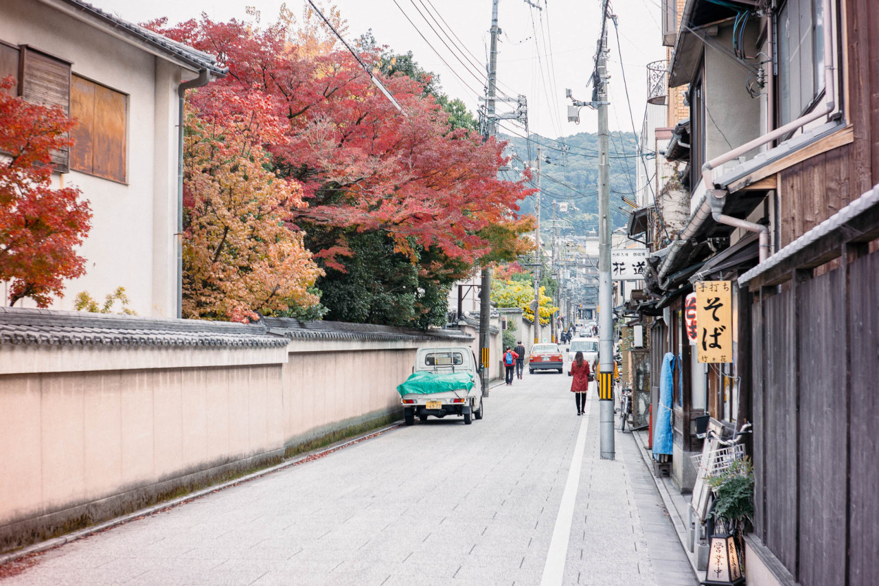 A quiet street
Kyoto, November 2019
Instagram | YouTube