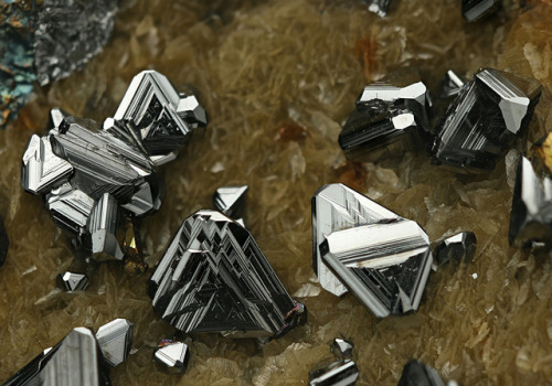 bijoux-et-mineraux:Tetrahedrite on Siderite with Chalcopyrite - Georg Mine, Willroth, Altenkirchen, 