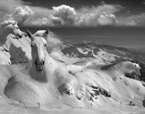 fer1972: Photomanipulations by Thomas Barbey