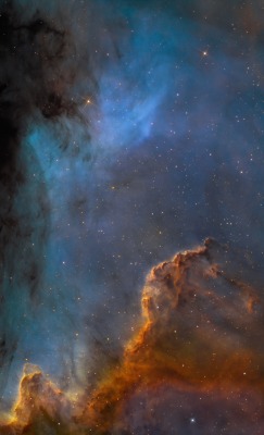 thedemon-hauntedworld:  Along the Cygnus Wall   The prominent ridge of emission featured in this vivid skyscape is known as the Cygnus Wall. Part of a larger emission nebula with a distinctive shape popularly called The North America Nebula, the ridge