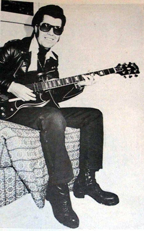 link wray