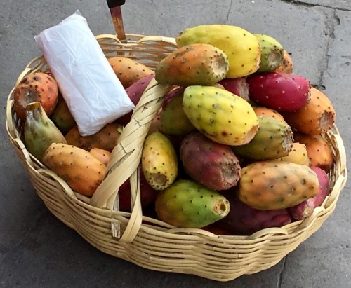 Tunas, Arequipa, 2017.End of summer and time for the sweet fruit of the nopal cactus to be harvested