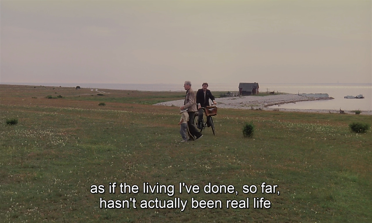 timotaychalamet: The Sacrifice (1986) dir. Andrei Tarkovsky