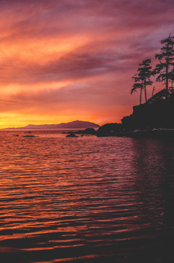 deeplovephotography:   Sunset Beachflickr | facebook | society6  