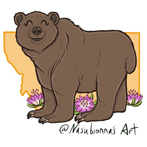 Back from the dead with yet another multi-drawing series! Official state animals and flowers! Roughl