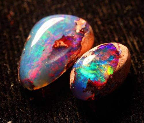 geologyin-blog: Outstanding colorful opal from MexicoPhoto: @western_opalsAmazing Geologist