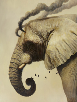 jedavu:  THE WORKS OF MARTIN WITTFOOTH
