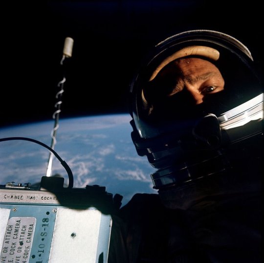Buzz Aldrin, 1966. adult photos