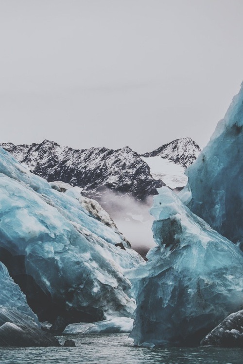 thelovenotebook:  Everything Love Quotes and Photography 