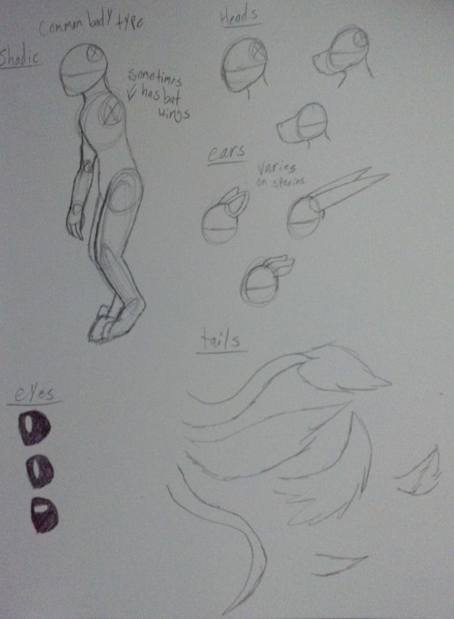Shadics Basically Look Like Animals, Sometimes A Mixture Of Animals, Like, A Shadic Can Have A Wolf Like