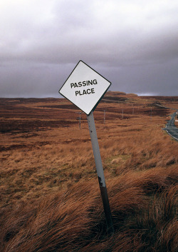 orpus:  cerceos:  Josh Dunford (2011) Scotland,