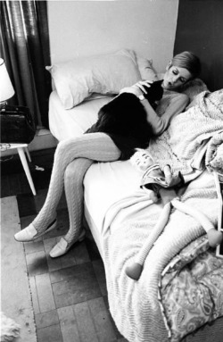 fandesixties:  Twiggy at home in 1966, photographed