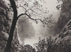 fragrantblossoms:   Sebastião Salgado (b. 1944).                                                                                   Victoria Falls, Zimbabwe, 2008 