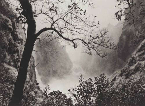 fragrantblossoms:   Sebastião Salgado (b. 1944).                                                                                   Victoria Falls, Zimbabwe, 2008 