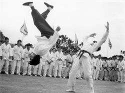 guts-and-uppercuts:  Yup, two seemingly unconnected photos. One being Bruce Lee performing his famous flip-kick in “Enter the Dragon” and the other being the husband and wife landlords from “Kung Fu Hustle”.The connection? That isn’t Bruce