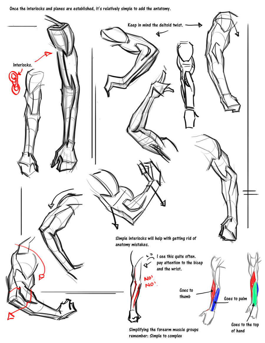 jay-h-bomb:  Here’s some awesome figure drawing and anatomy tips, tricks and tutorials