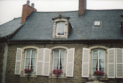 floralls:Windows / Boulogne (by Millie Clinton.)