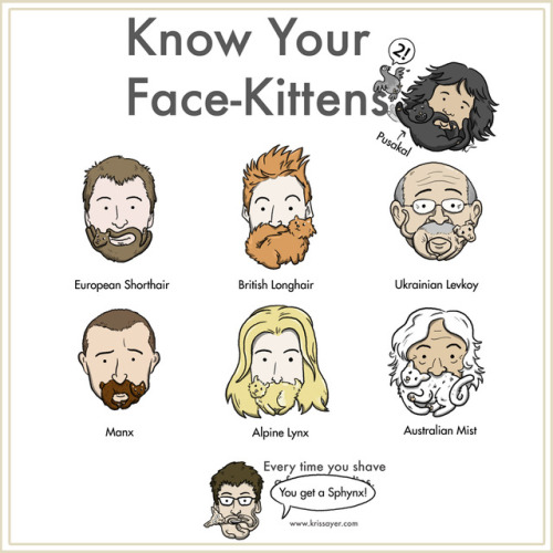 The long awaited sequel to Face Kittens - it’s Face Kittens 2! Rolled out for VanCAF 2018
