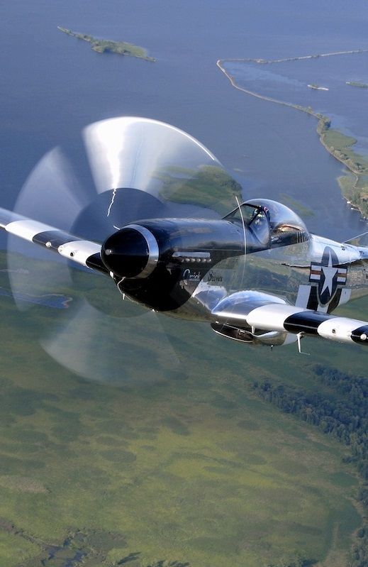 wwiiairplanes:  P-51D Mustang. 