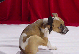 mashable:  You know what will make your favorite disney movies better? Puppies. [via]