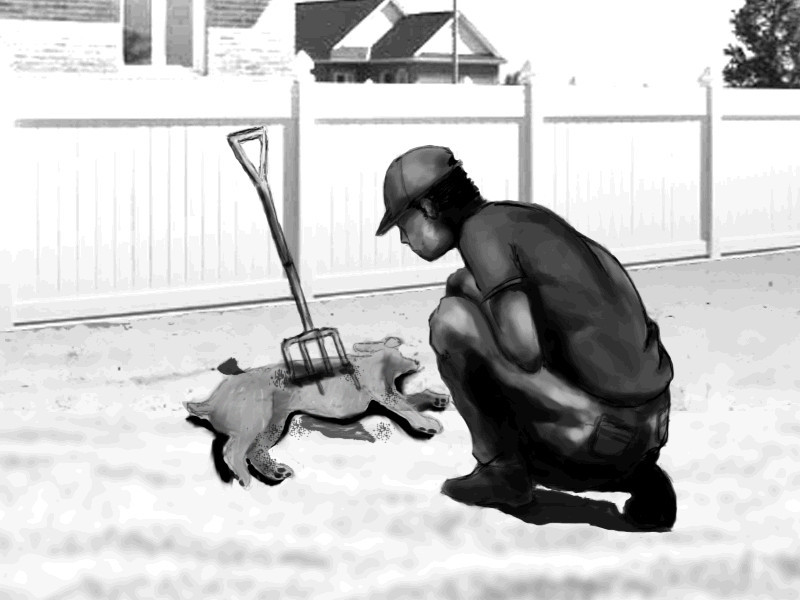 missmeedow:  The Curious Incident of the Dog in the Night-Time