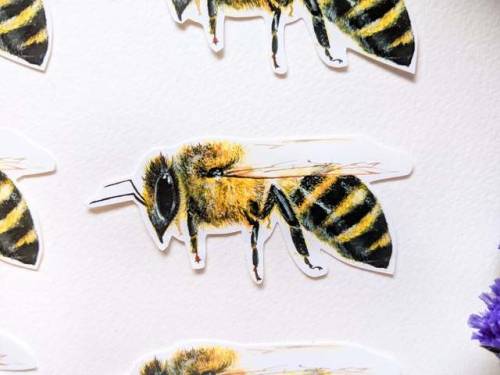 Laptop Bee Sticker //  Zaiguu