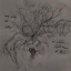 aslamadeus