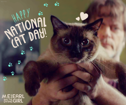 National Cat Day: It’s meow or never. http://bit.ly/MeAndEarl_Bluray