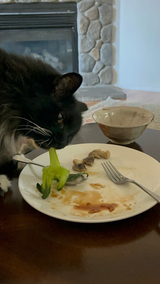 Apparently He Also Likes Chinese Food Leftovers