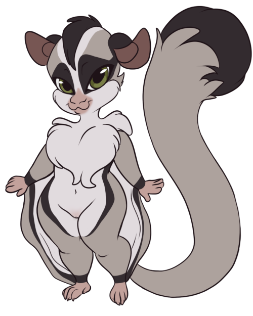 XXX scaitblue:  sugar glider babe   I still photo