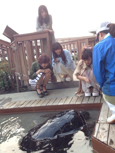they-are-helloproject:  思い出の場所へ…(舞美)｜℃-uteオフィシャルブログ