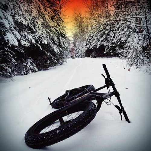 velo-vogue: Don’t forget to check out our newly designed Banana kits and let us know (either by rebl