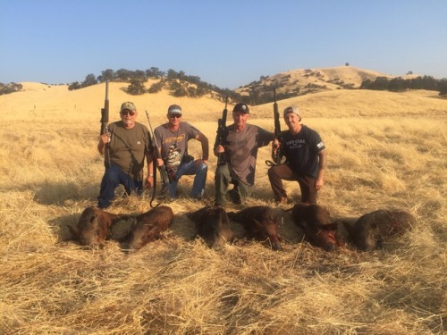 <p>9/6/17 had an outstanding hunt this morning with two sets of father son teams Ryan and Dennis on the right and Travis and Ricky on the left. Even though we blanked out on the first group of hogs we saw. The next heard did not fare as well putting six hogs down before 8 AM</p>