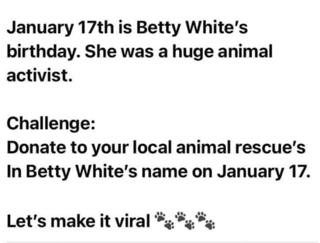 #puppies#puppy#pet#dog#dogs#doggo#furbaby#pupper#charity#shelter animals#shelter dogs#adoptdontshop#Betty White