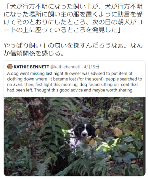 wwwwwwwwwwww123:  ヤギの人（マスク）さんはTwitterを使っています 「「犬が行方不明になった飼い主が、犬が行方不明になった場所に飼い主の服を置くように助言を受けてそのとおりにしたところ、次の日の朝犬がコートの上に座っているところを発見した」