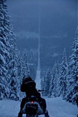 phazonphobe:  Border of Norway and Sweeden