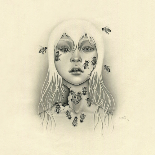 The Hive9″ x 9″graphite and gouache on paper