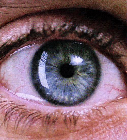watchwhilehigh: See Now Trippy Vids on YouTube &gt;WATCH WHILE HIGHReblog this post if you &