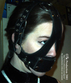 HEAVY RESTRAINTS