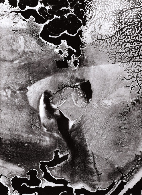 ignacioararipe: MILOŠ KOREČEK (1906 – 1989) STRUKTURA, 1986 , vintage gelatin
