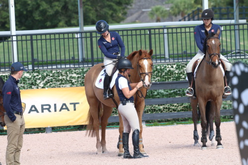 bjuhlphotography:  Beezie Madden making some adjustments. George Morris Horsemastership Clinic 2017 