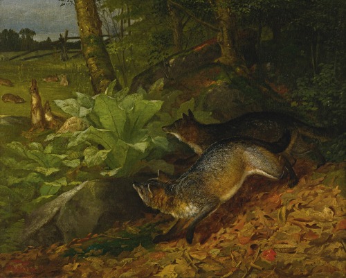 art-and-things-of-beauty:William Holbrook Beard (1823-1900) - Foxes and rabbits, oil on canvas, 40,5