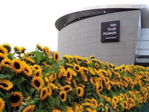 tiny-gorillas:I wanna go to the Van Gogh museum one day.