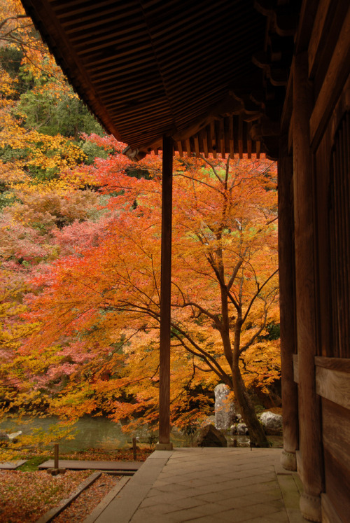 Renge-ji Temple and Gardens, KyotoBy : np&amp;djjewell