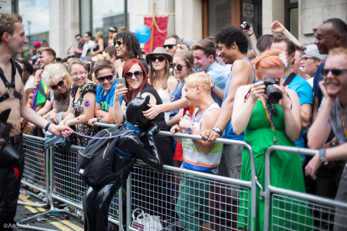 pupbolt:  London Gay Pride March, June 2015 I marched with the pups and dogs this year again, and had so much fun on a super sunny and warm day. There were rubber, topless, furry and leather pups a-go-go! Apart from being able to see and catch up with