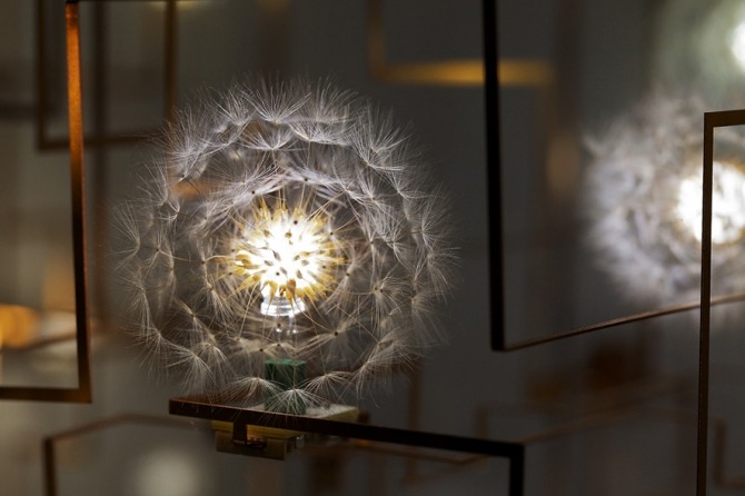sci-universe:  Entitled Fragile Future III, these lights are made of bronze, LED’s