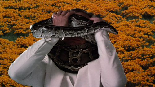 darkasagrave:  Surreal images from Altered States (1980)   Online free Fullscreen Version: http://www.solarmovie.so/link/play/1311103/