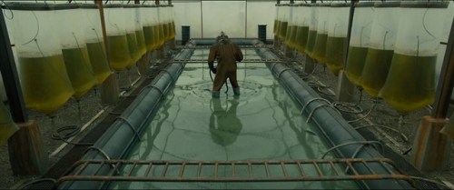 jordanimate: Bladerunner 2049: Greys - White Cinematography - Roger Deakins